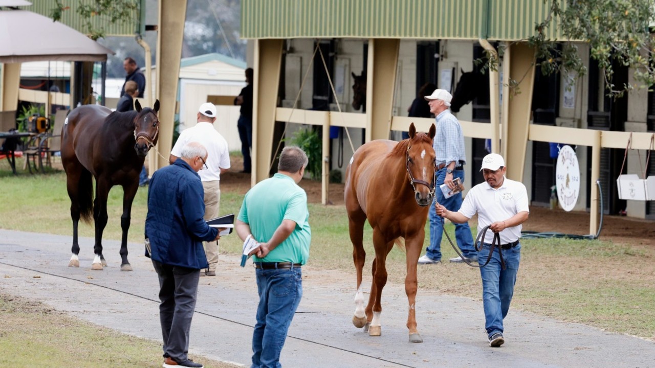 OBS March Sale Rumbles On With Quality Aplenty Image 1