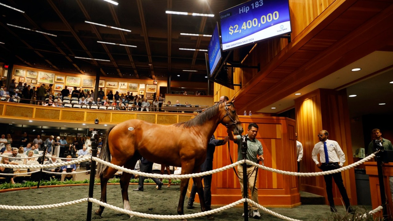 Fasig-Tipton Doubles Minimum Bid For Thoroughbreds Image 1