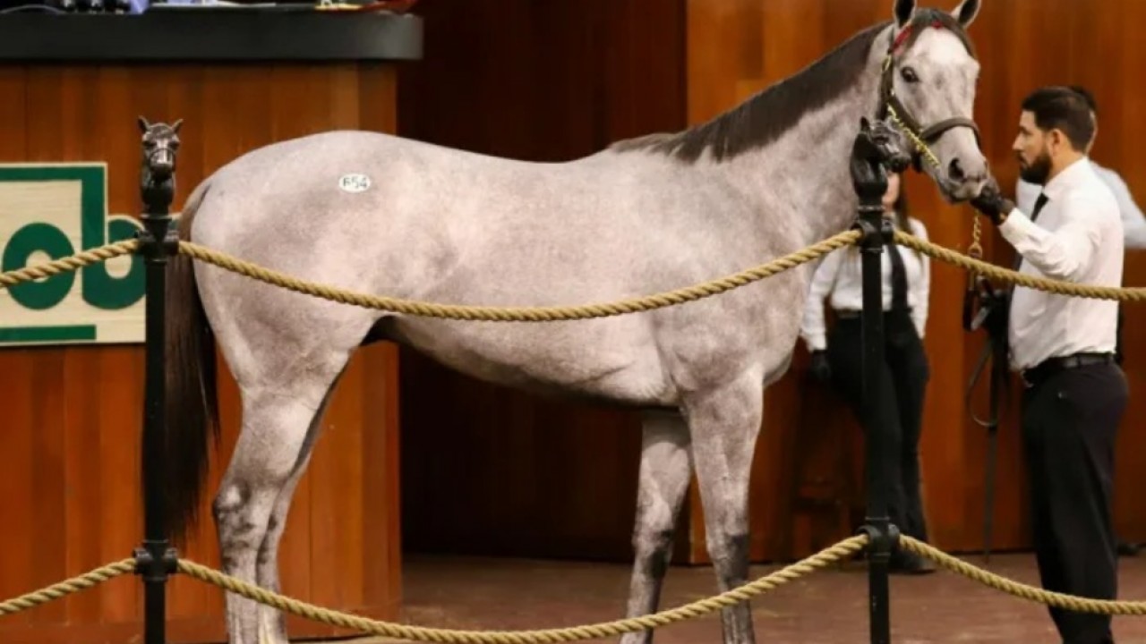 Record-Breaking Gun Runner Tops Obs March Sale Image 1