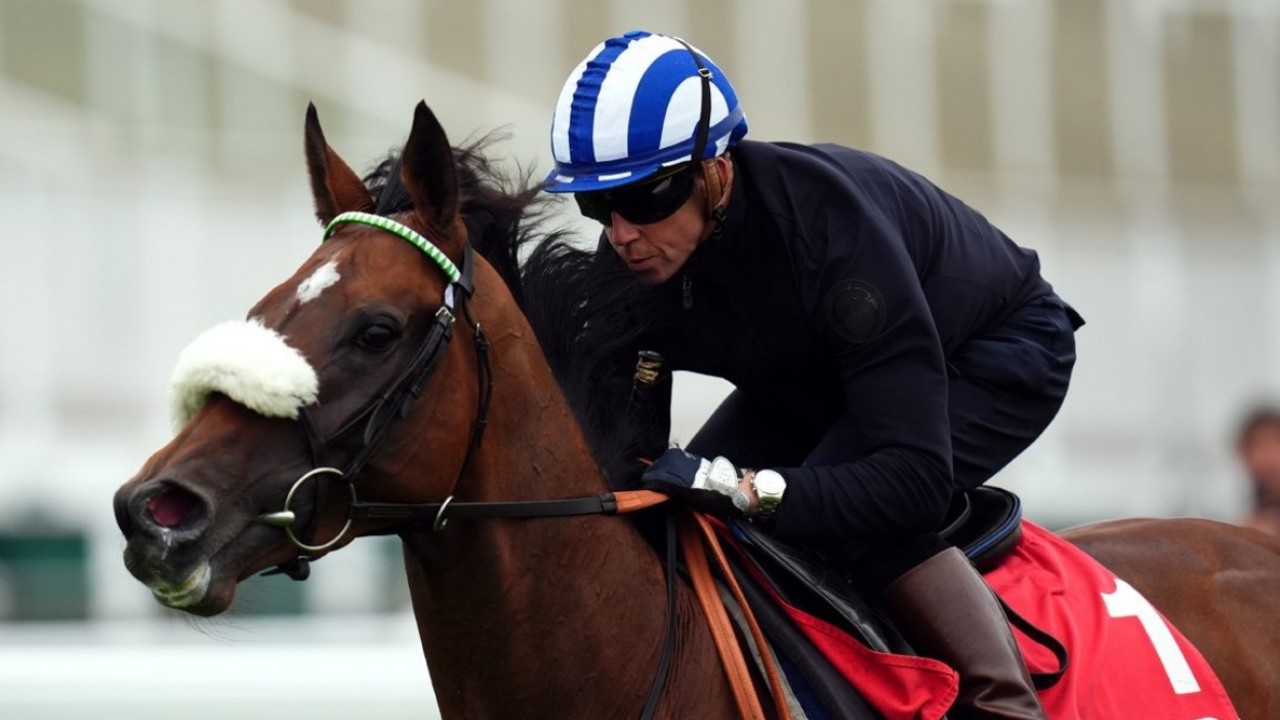 Derby Dreamer Burrows Plots Global Path For Deira Mile Image 2