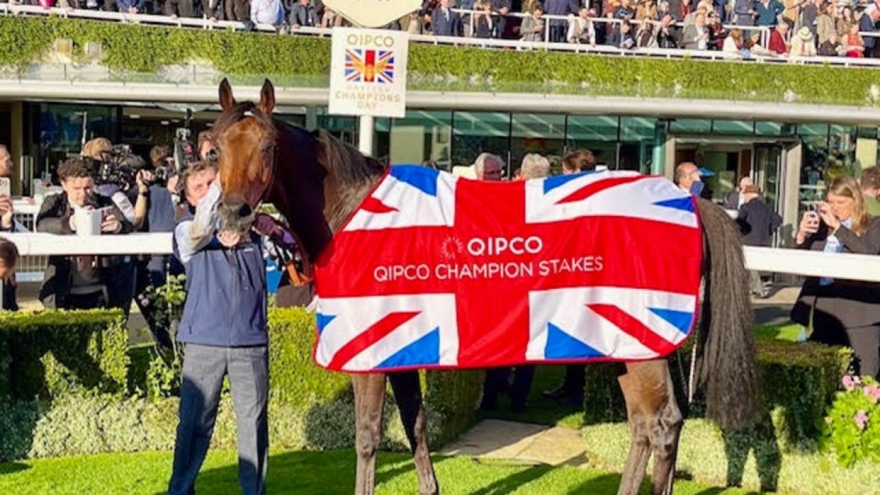 Derby Dreamer Burrows Plots Global Path For Deira Mile Image 1