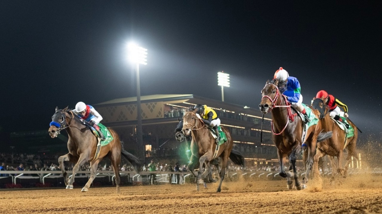 Experts Gather To Boost Gulf Horse Movement Image 1