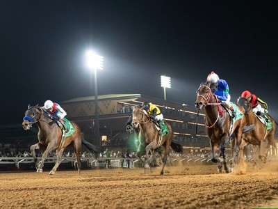 Experts Gather To Boost Gulf Horse Movement Image 1