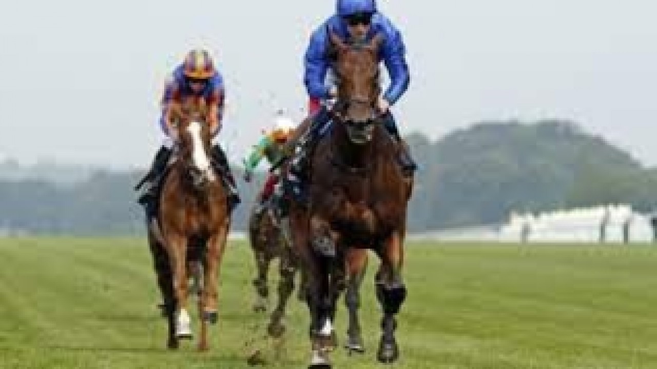 King George: Adayar completes Derby-King George double Image 2