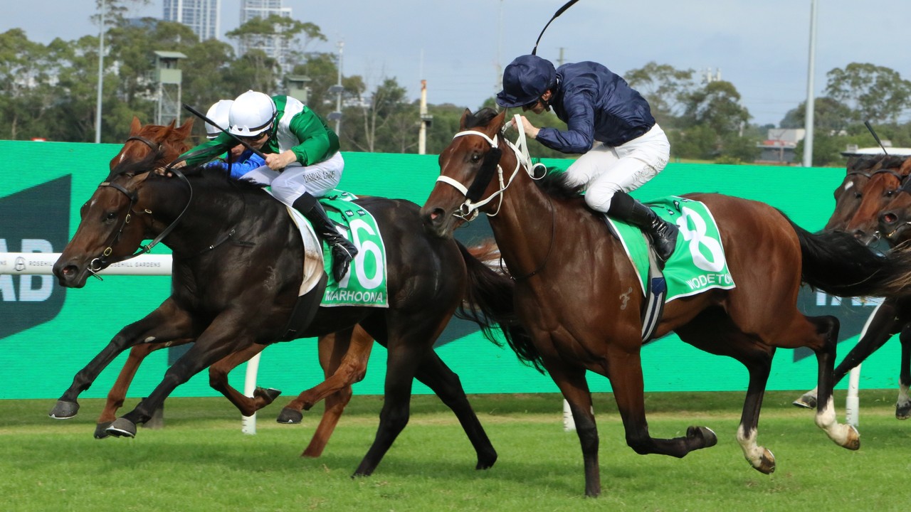 Slipper Heroine Marhoona Targets Everest Glory Image 1