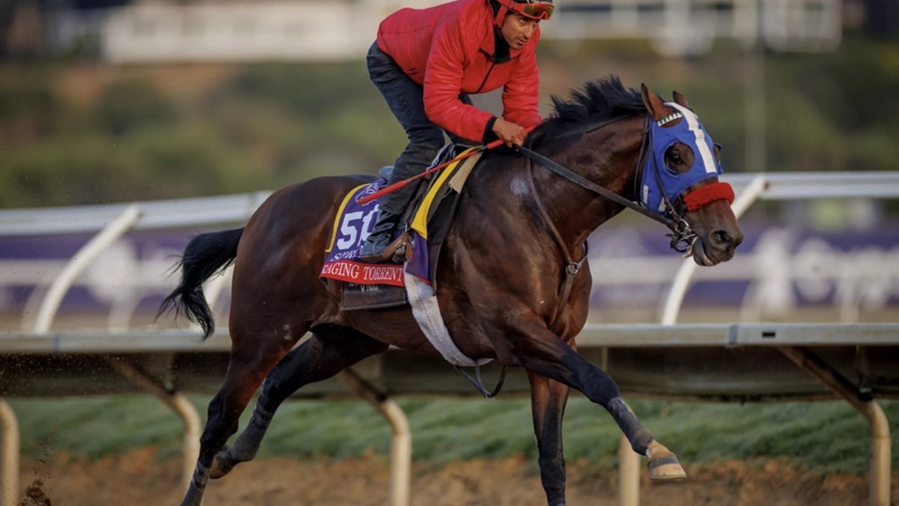 O'Neill Seeking Third Win In Dubai Mile Image 1