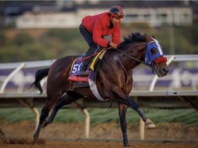 O'Neill Seeking Third Win In Dubai Mile Image 1