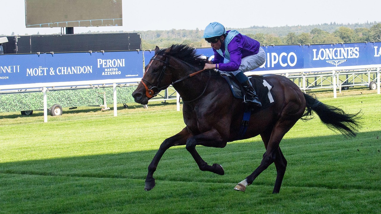 Ghostwriter All Set For Warrior Showdown Image 1