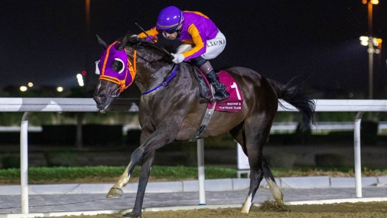 Ibrahim's Mare Edges Thrilling Al Mafiar Finish Image 1
