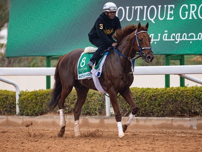 Mcpeek Predicting Bold Show From Rattle N Roll At Meydan Image 1