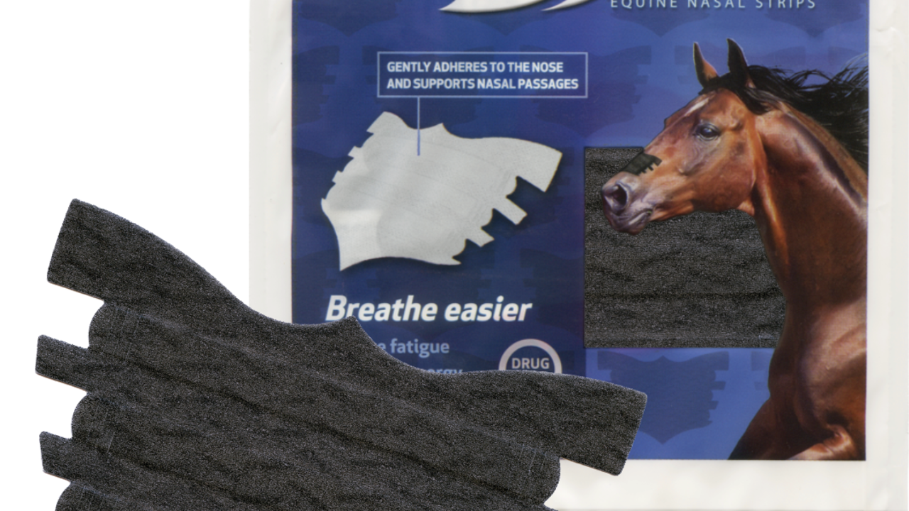 EIPH &amp; The Price Of Victory: Protecting Racehorse Lungs Image 1