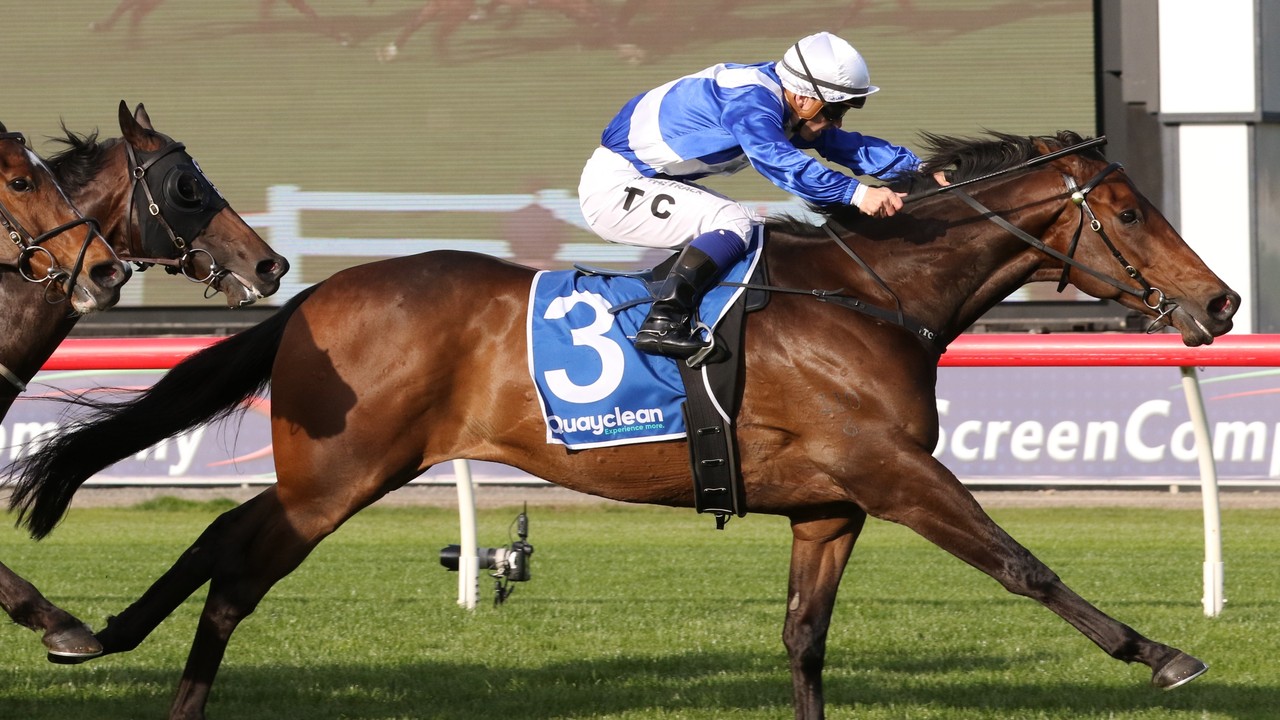 Champion Alligator Blood Hangs Up His Boots Image 1