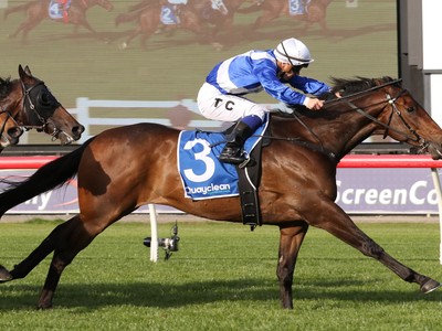 Champion Alligator Blood Hangs Up His Boots Image 1