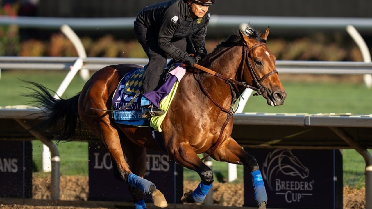 Baffert Duo Leads Kentucky Derby Challenge Image 1