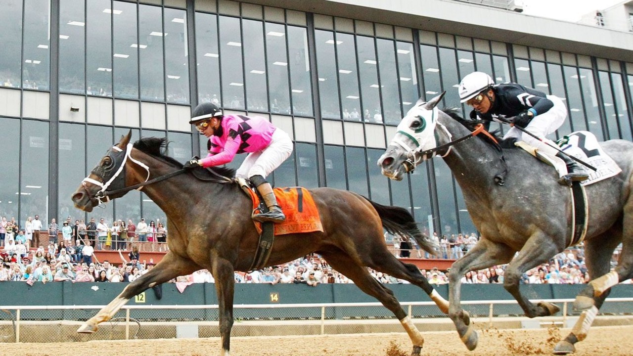 Security Sire's Star Secures Preakness Spot Image 1