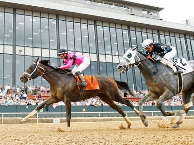 Security Sire's Star Secures Preakness Spot Image 1