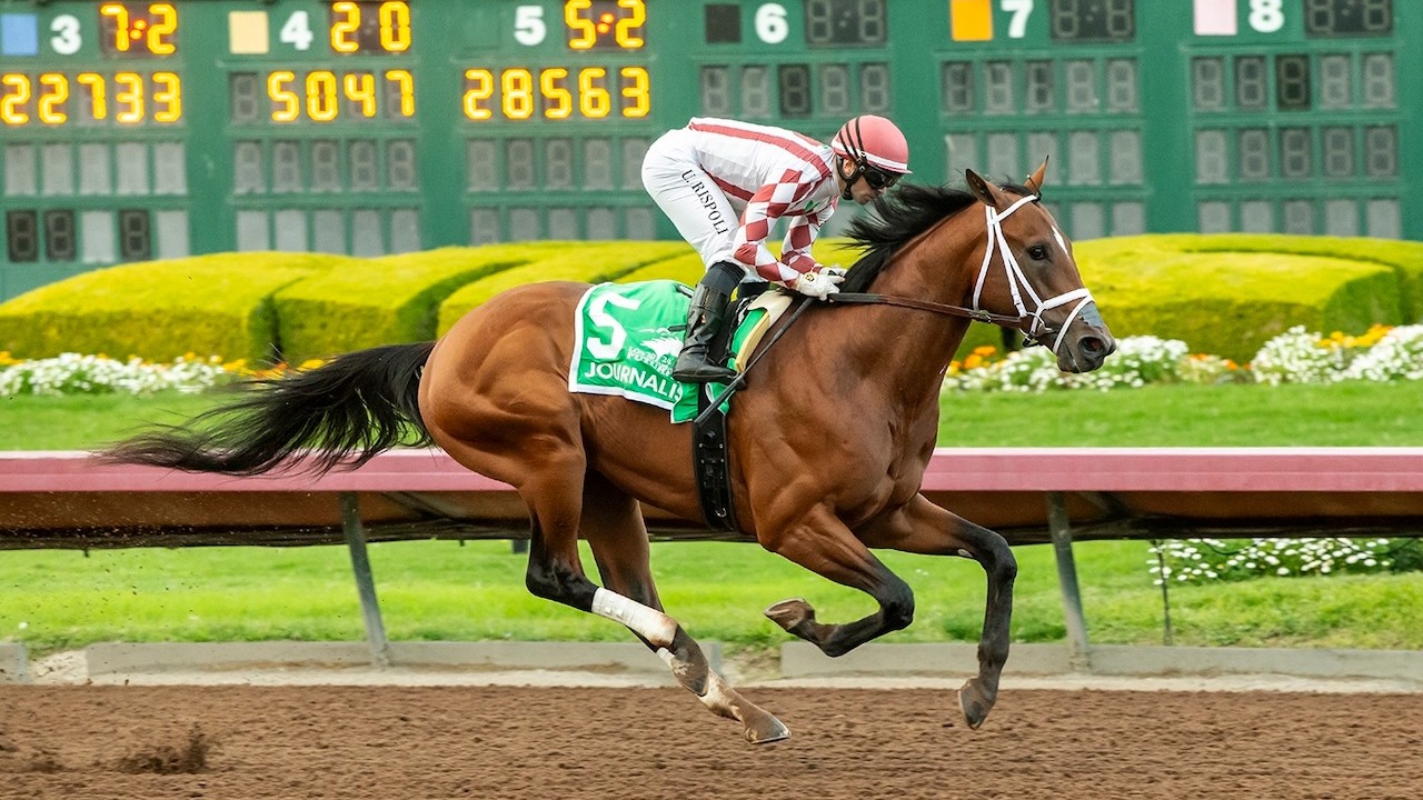 Four Fancied Contenders Arrive For Derby Test Image 1