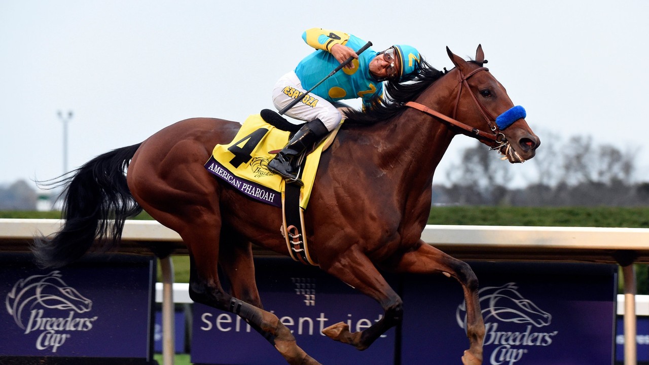 American Pharoah Colts Eyeing Derby Glory Image 1