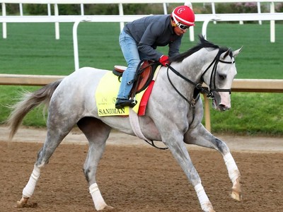 Sandman Tops Derby Field With Million-Dollar Price Tag Image 1