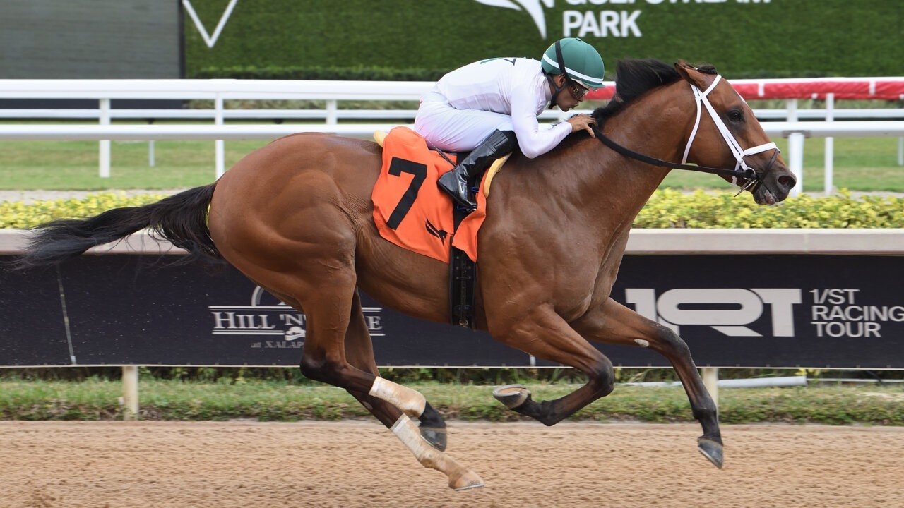 Derby Dreams Dashed For Tappan Street Image 1