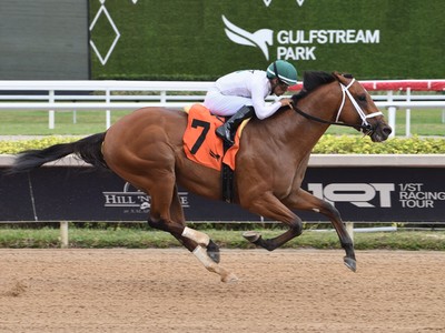 Derby Dreams Dashed For Tappan Street Image 1