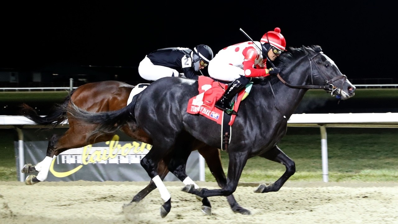 Gold Dust Turns To Derby Hope Image 1