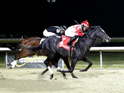 Gold Dust Turns To Derby Hope