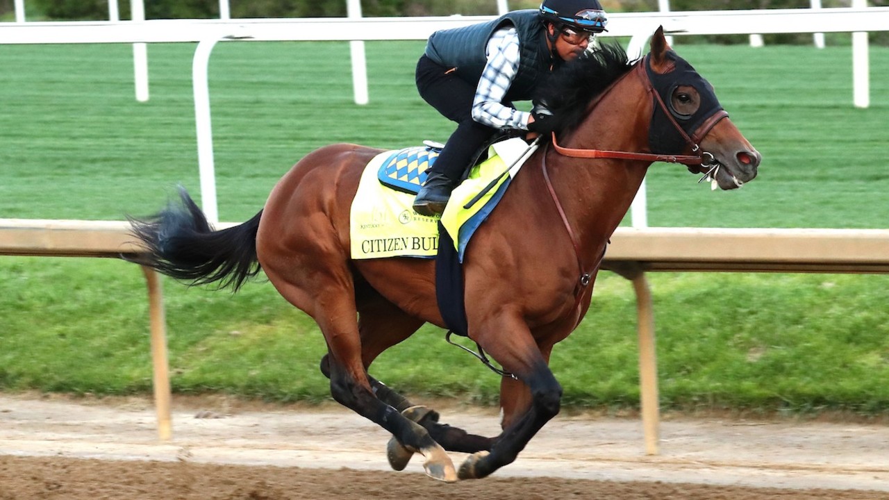 Citizen Bull Flexes Muscles In Derby Prep Image 1