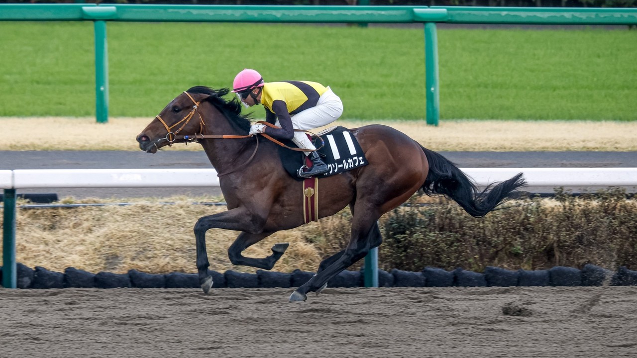 Japanese Runners Complete Final Derby Preparations Image 1