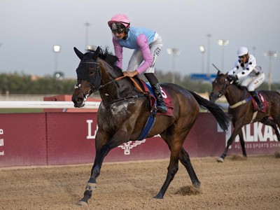 Dirt Specialists Shine At Qatar's Al Bayt Cup