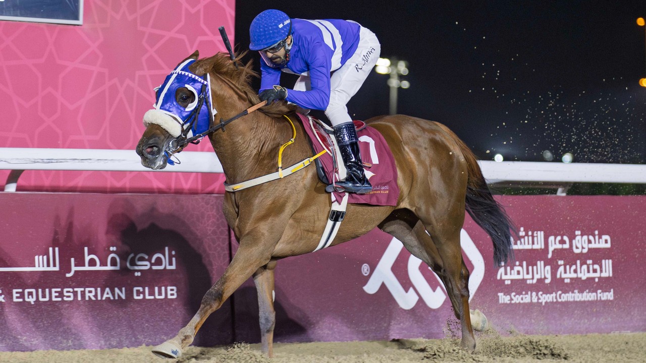 Qatar Star Kab Ghazal Powers To Asherij Cup Glory Image 1