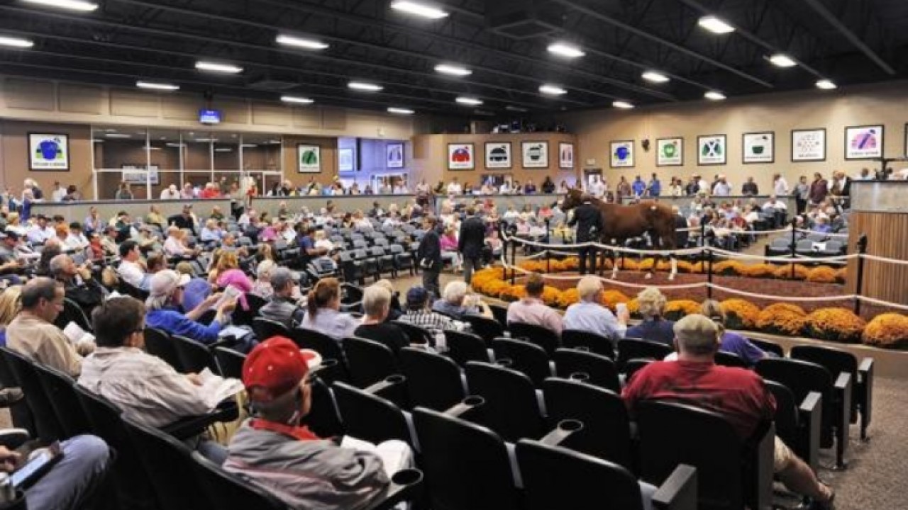 Midlantic Sale Gets Quality Boost Image 1