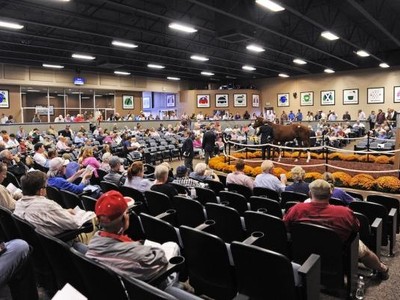 Midlantic Sale Gets Quality Boost Image 1