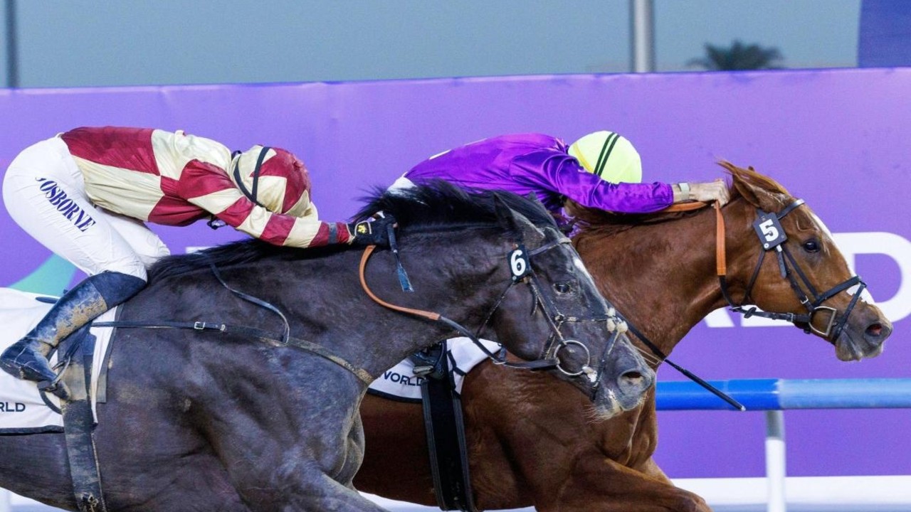 Heart Of Honour Primed For Preakness Challenge Image 1
