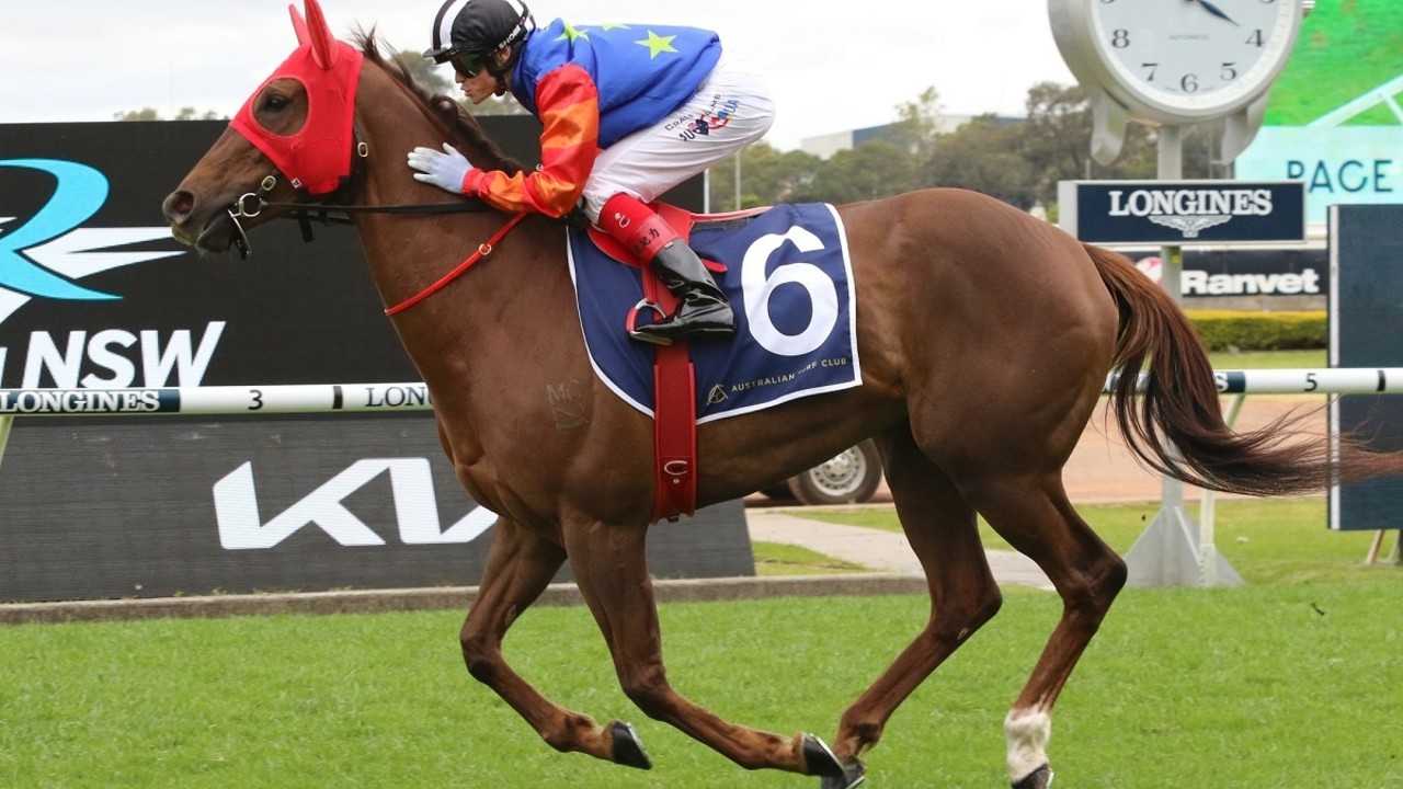 Fillies Feud Switches From Track To Ring Image 1