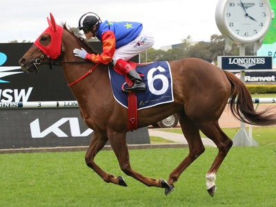 Fillies Feud Switches From Track To Ring Image 1