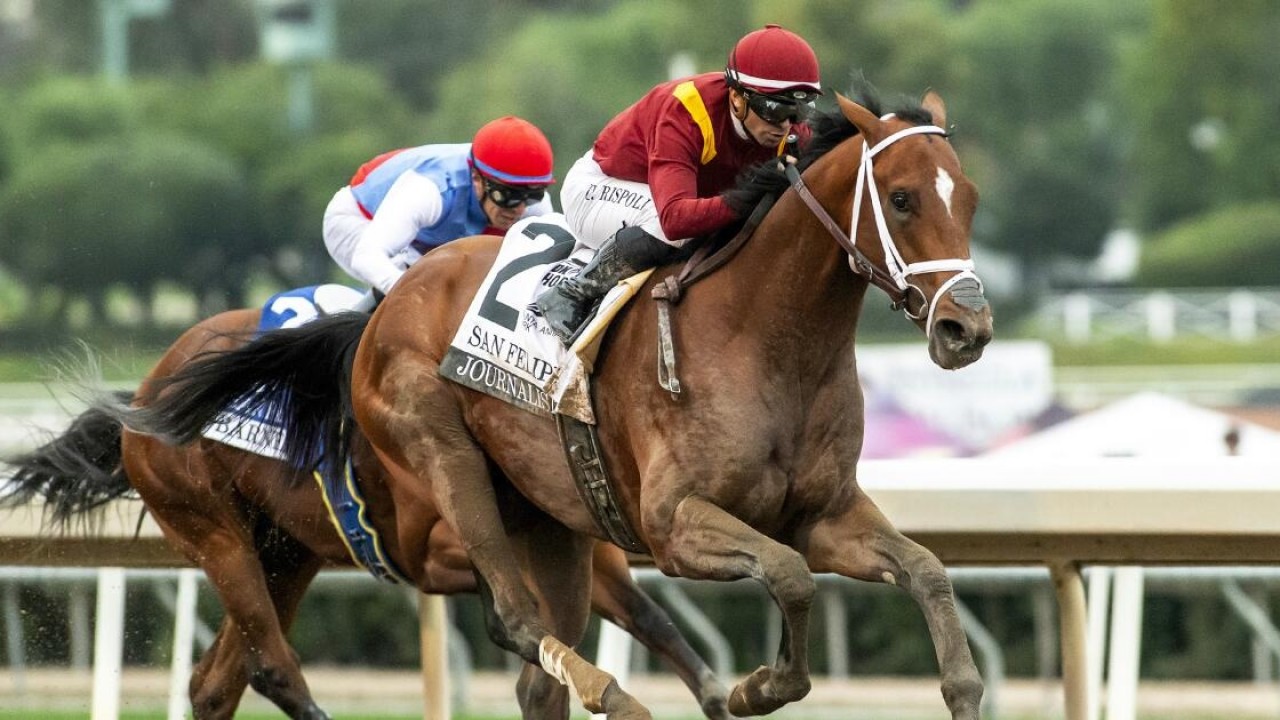 Eclipse Star Gets Green Light For Preakness Image 1