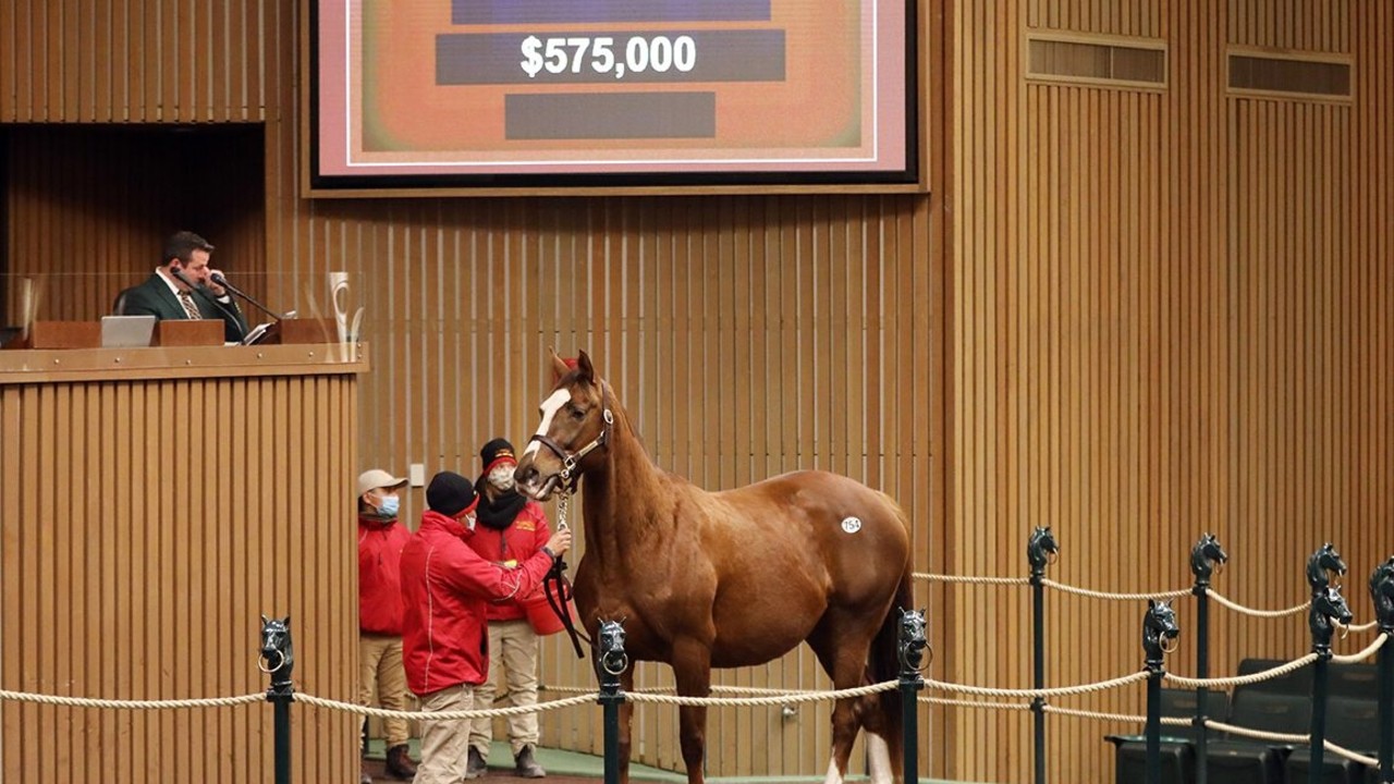 Clever Again Ready For Preakness Challenge Image 1