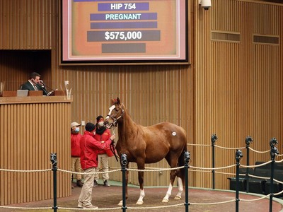 Clever Again Ready For Preakness Challenge