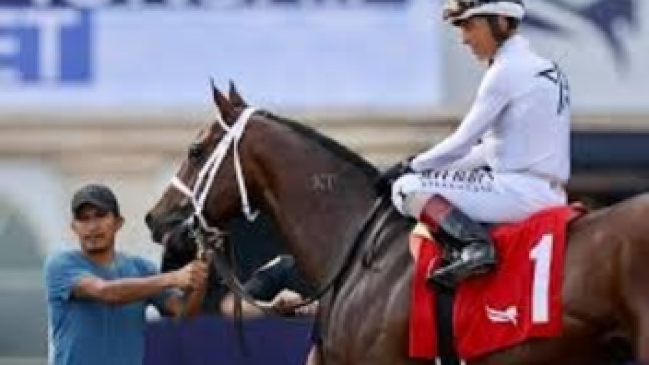 Fresh River Thames Targets Preakness Prize Image 1