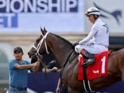 Fresh River Thames Targets Preakness Prize