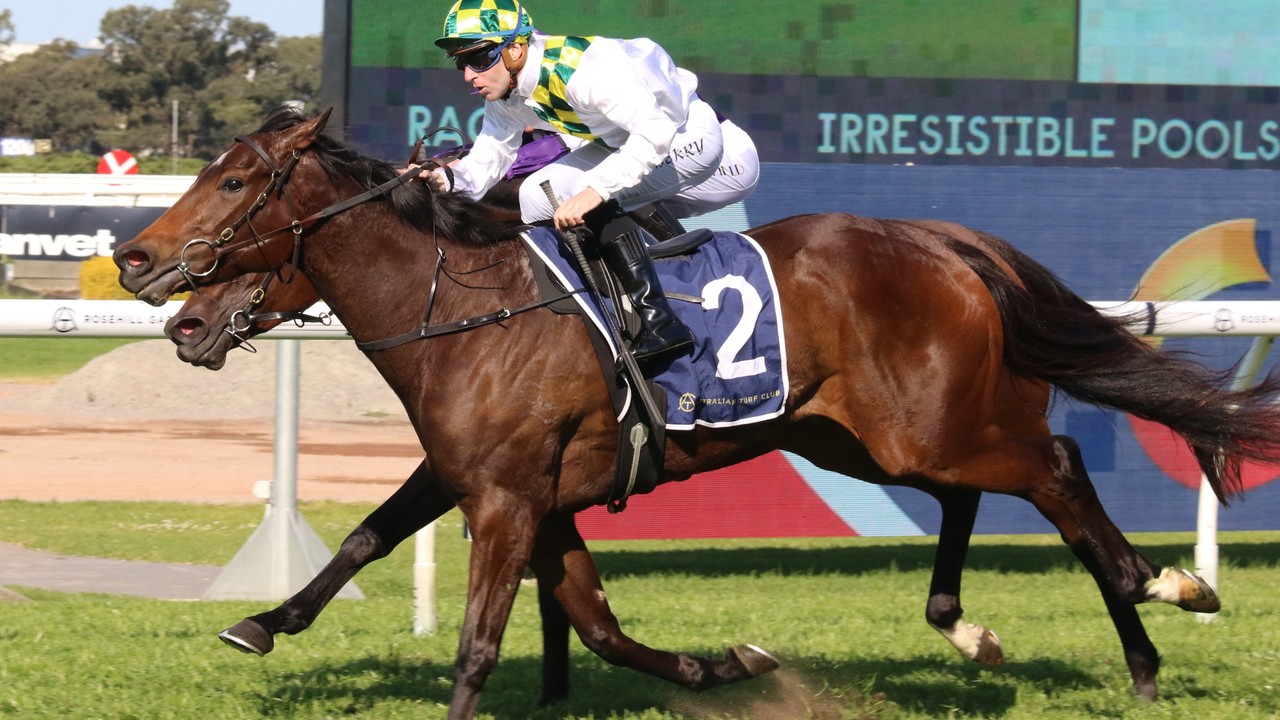 Sunshine Sparkles Ahead Of Doomben Test Image 1