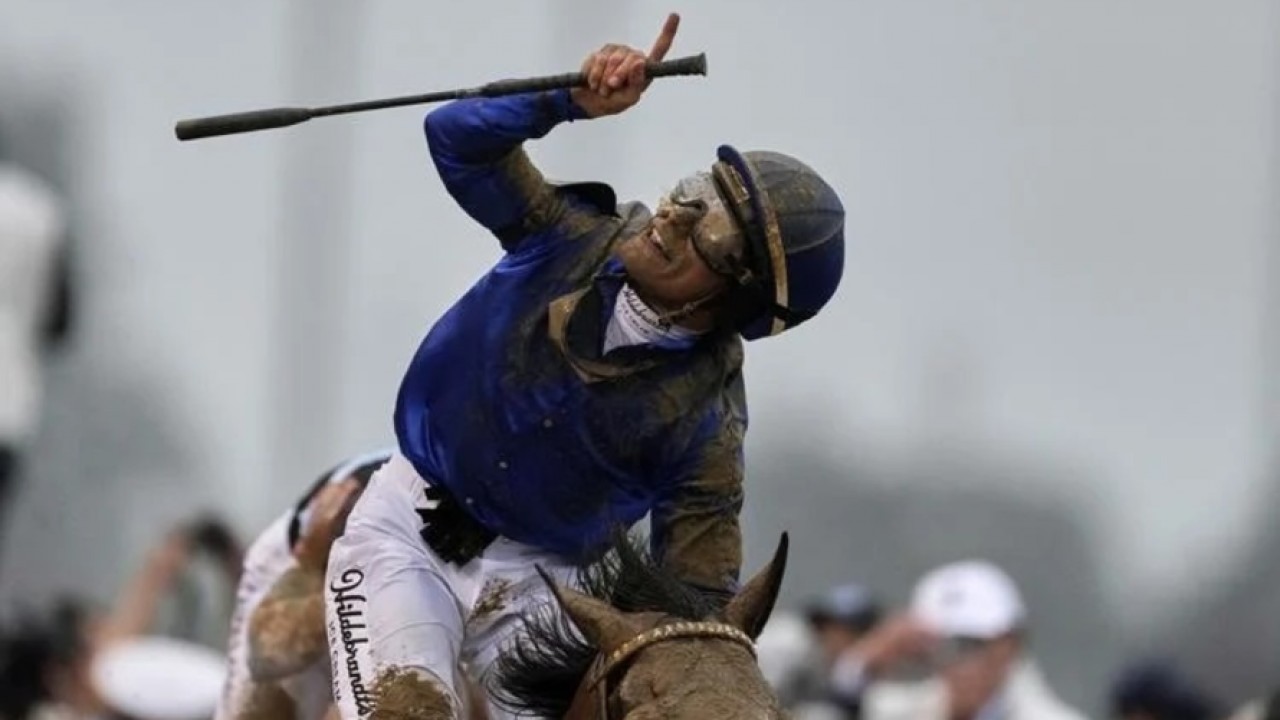Mushka's Full Sister To Sovereignty's Dam Tops Fasig-Tipton ... Image 1