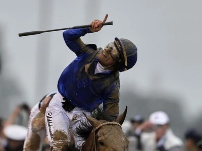 Mushka's Full Sister To Sovereignty's Dam Tops Fasig-Tipton ...