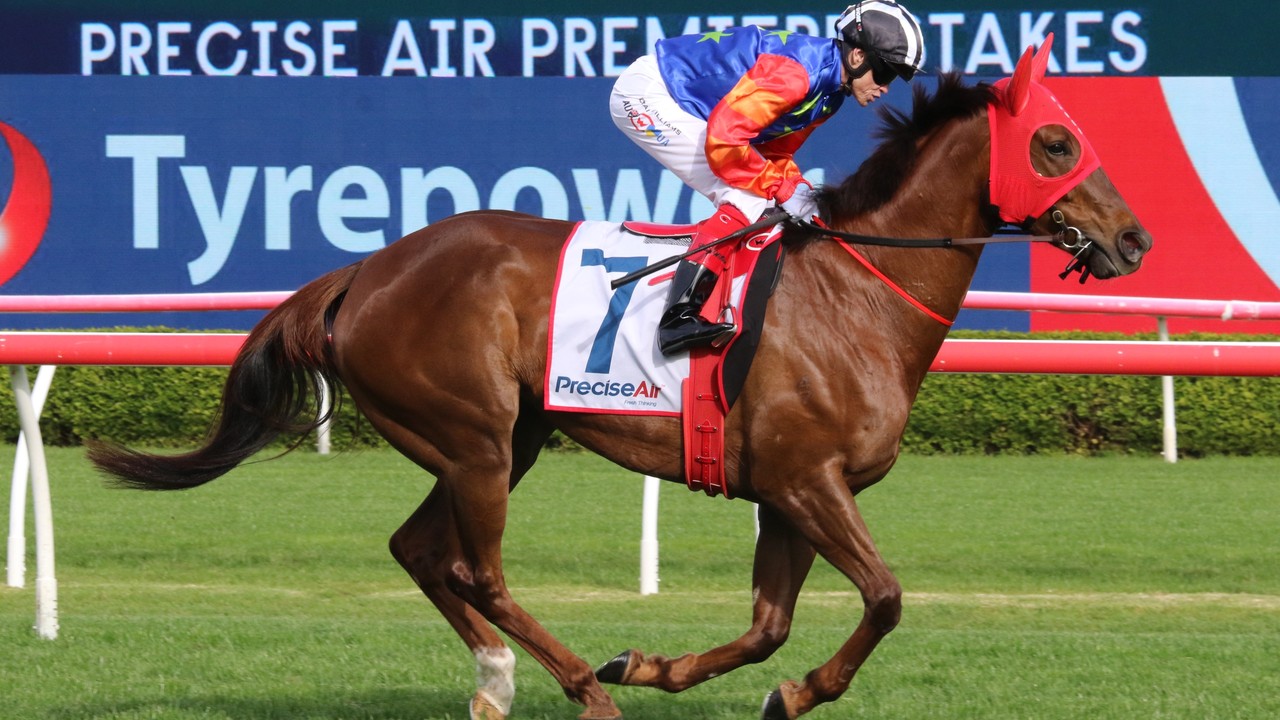 2025 Doomben 10,000 Preview - Doomben Field Puts Everest ... Image 1