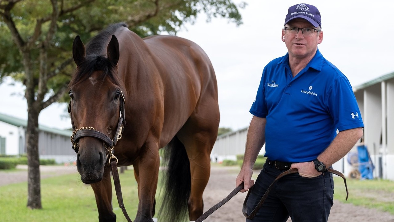 Nyquist's Son Gosger Carries Walsh's Preakness Dreams Image 1