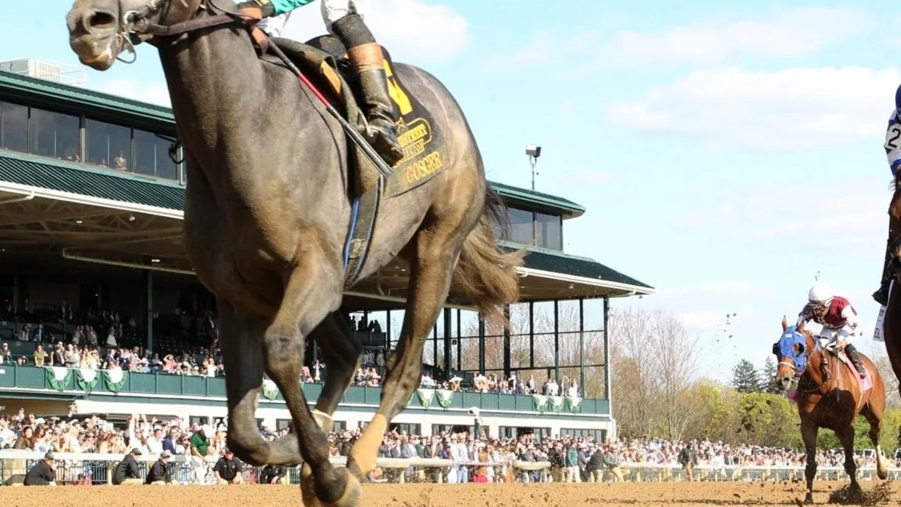 Nyquist's Son Gosger Carries Walsh's Preakness Dreams Image 1