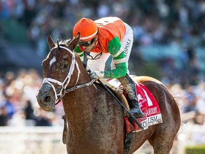 Race Preview - Journalism Leads Nine In Quest For Preakness ...