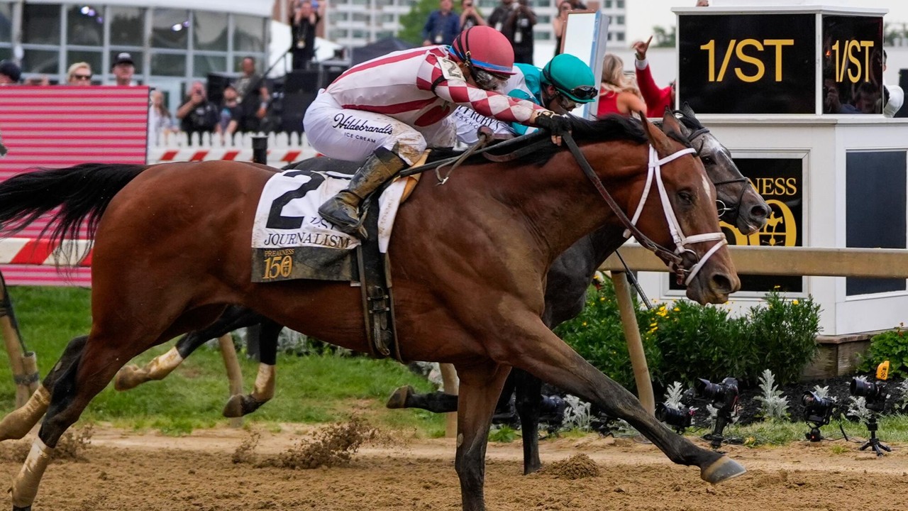 Journalism Eyeing Belmont After Preakness Heroics Image 1