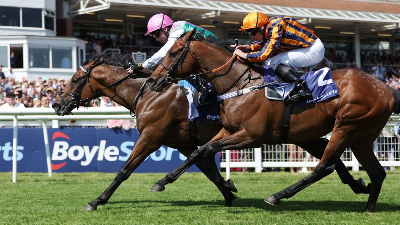 Lead Artist Upsets Lockinge As Hannon Eyes Ascot Glory Image 1